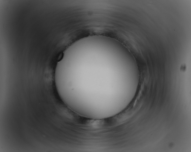 X0000102820135200809021259