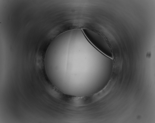 X0000102820136200809021259