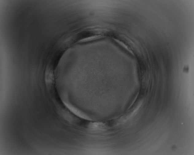 X0000102820137200809021259