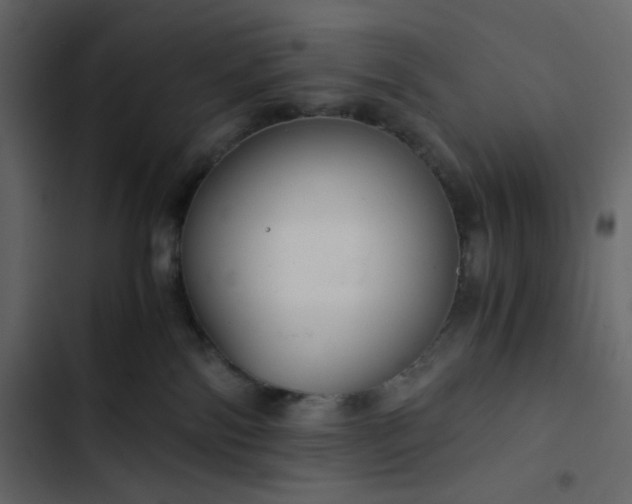X0000102820138200809021259