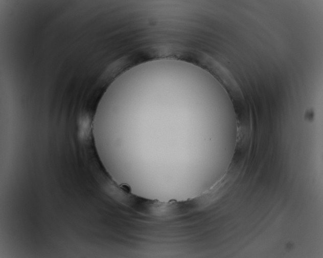X0000102820142200809021259