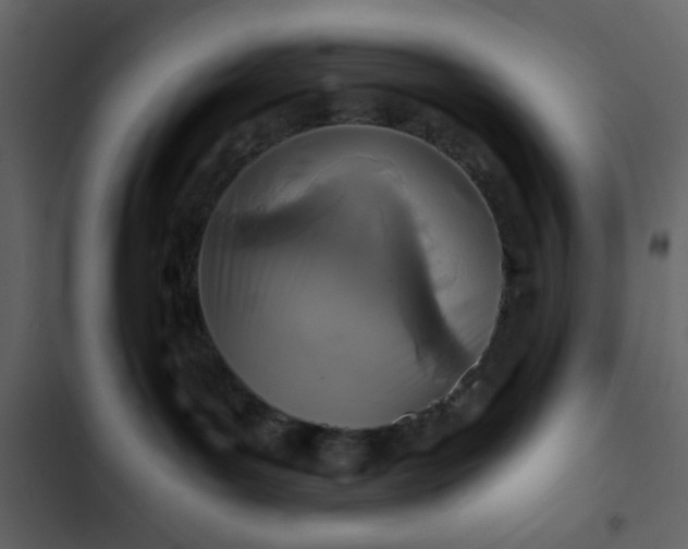 X0000102820143200809021259