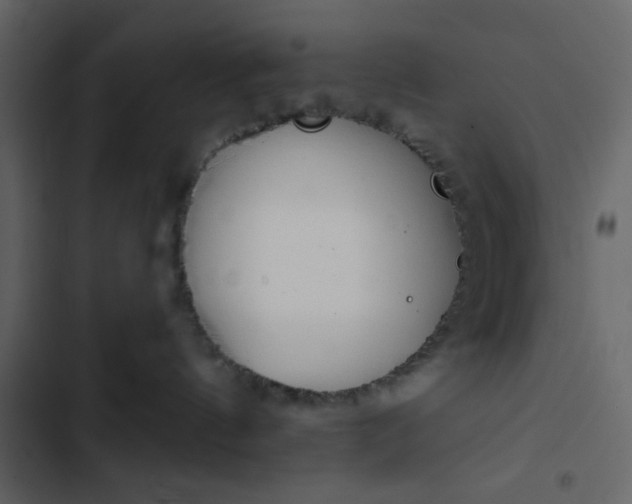 X0000102820144200809021259