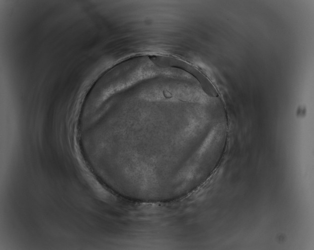 X0000102820145200809021258