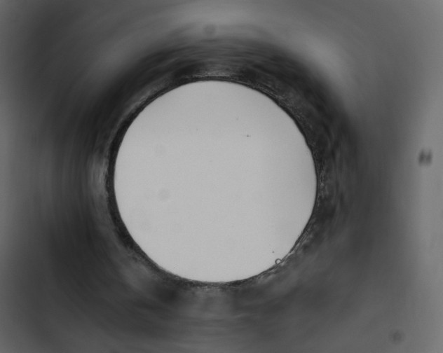 X0000102820146200809021258