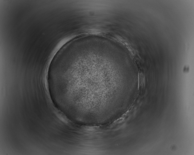 X0000102820147200809021258