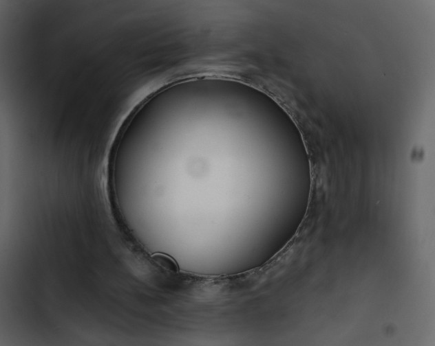 X0000102820148200809021258