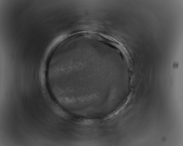 X0000102820149200809021259