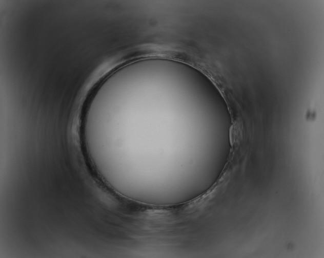 X0000102820150200809021259