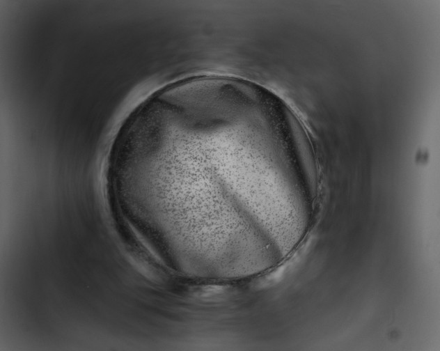 X0000102820151200809021259