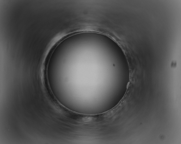X0000102820152200809021259