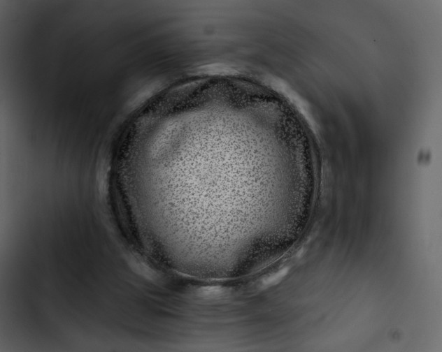 X0000102820153200809021259