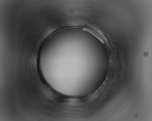 X0000102820154200809021259