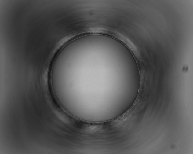X0000102820155200809021259