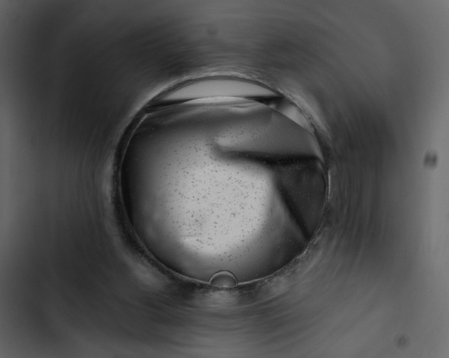 X0000102820156200809021259