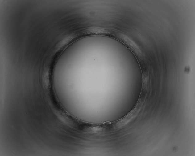 X0000102820158200809021259