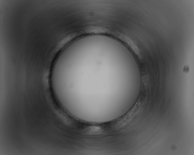 X0000102820159200809021259