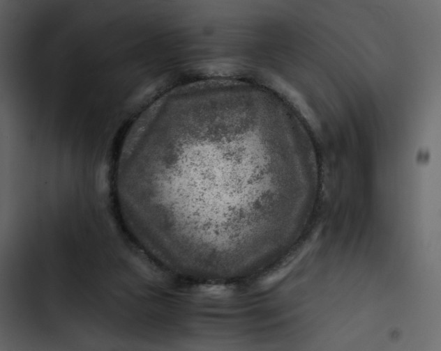 X0000102820161200809021259