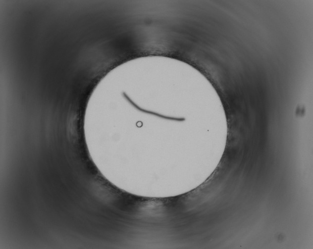 X0000102820162200809021259