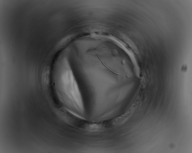 X0000102820163200809021259