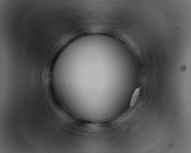 X0000102820164200809021259
