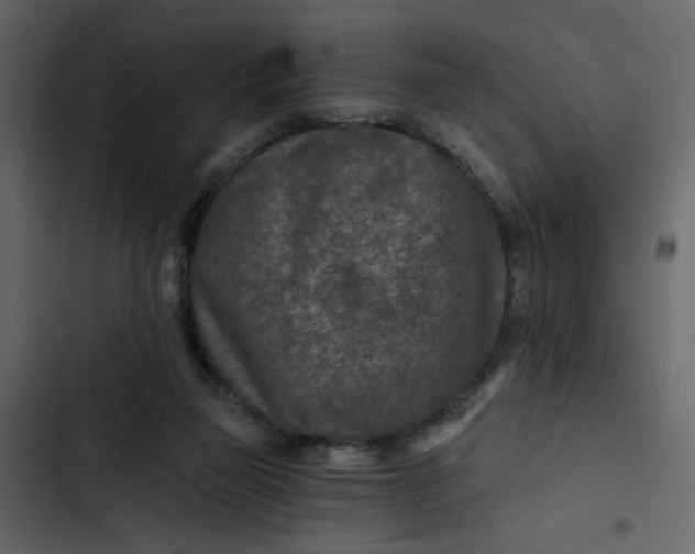 X0000102820165200809021259