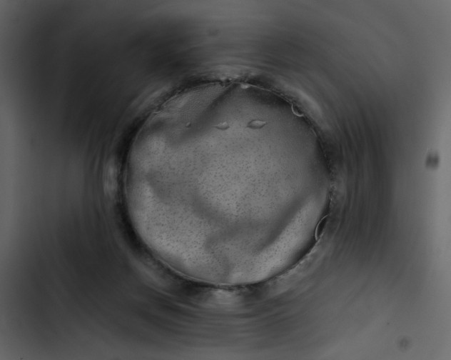 X0000102820166200809021259