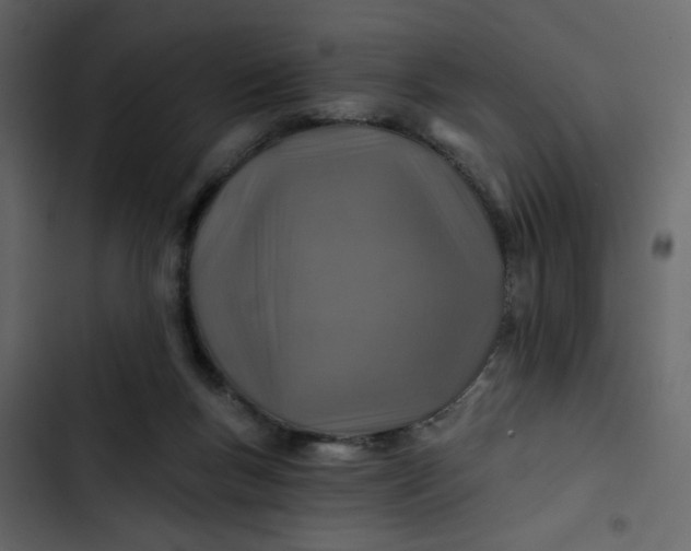 X0000102820167200809021259
