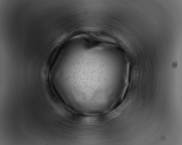 X0000102820168200809021259