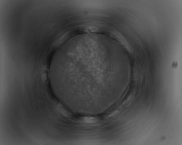 X0000102820169200809021259