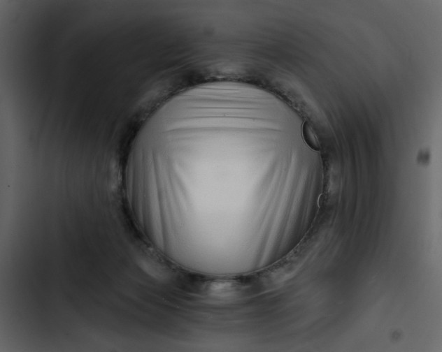X0000102820173200809021259