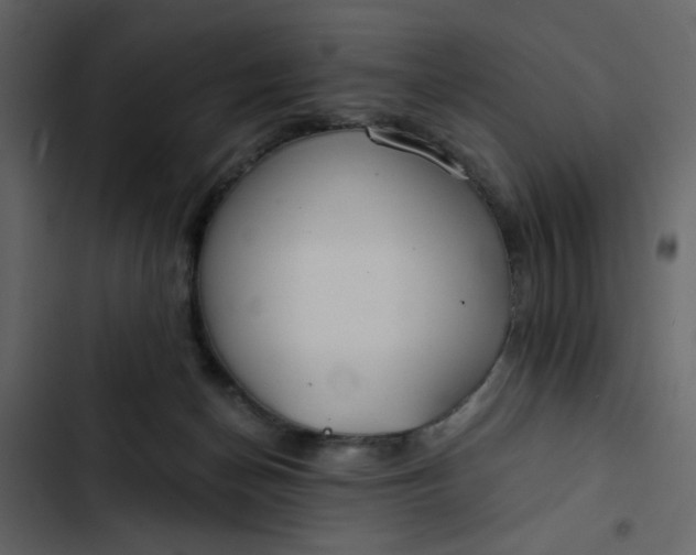 X0000102820174200809021259