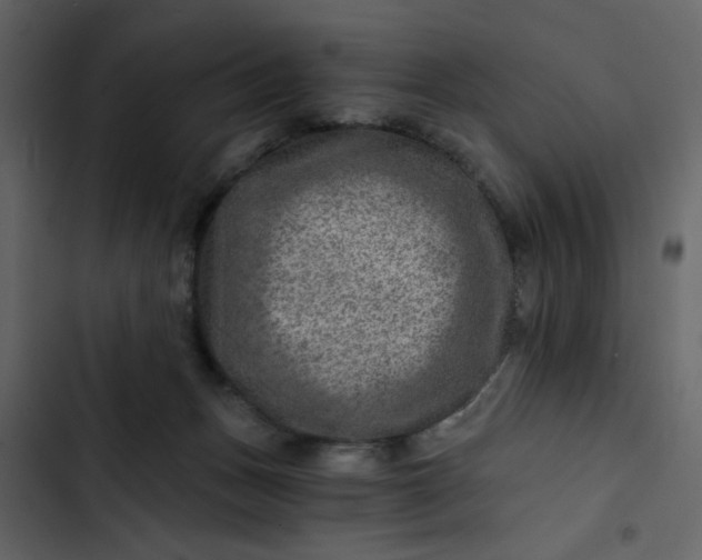 X0000102820175200809021259