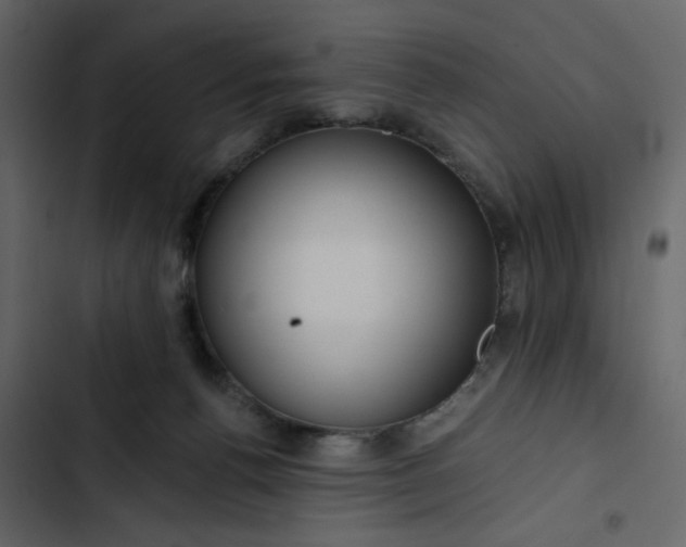 X0000102820176200809021259