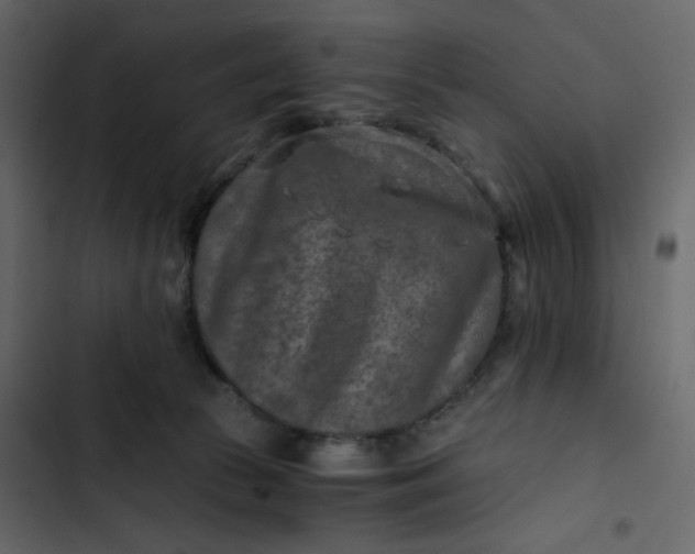X0000102820177200809021259