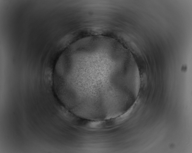 X0000102820178200809021259