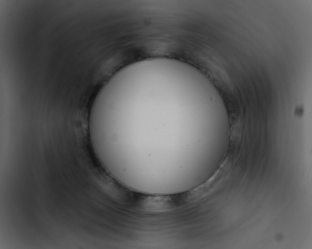 X0000102820179200809021259