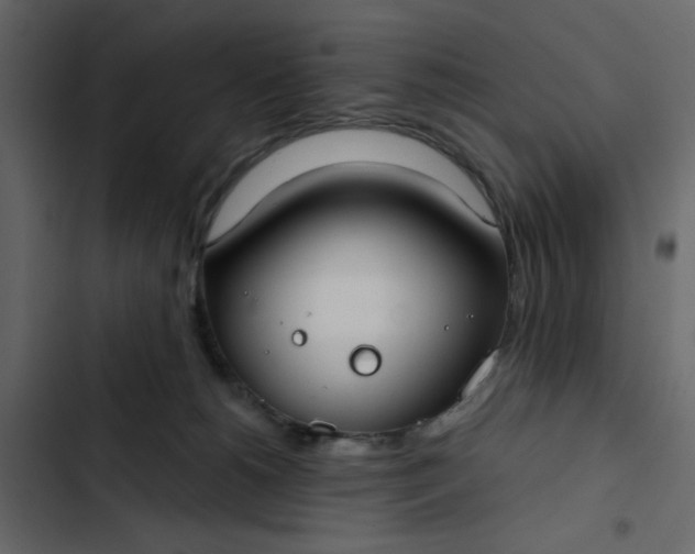 X0000102820180200809021259