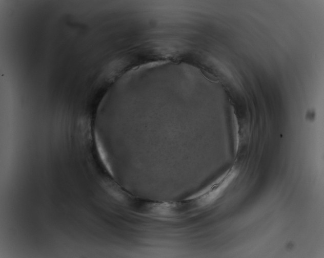 X0000102820182200809021259