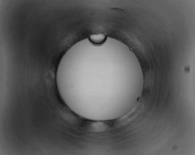 X0000102820183200809021259
