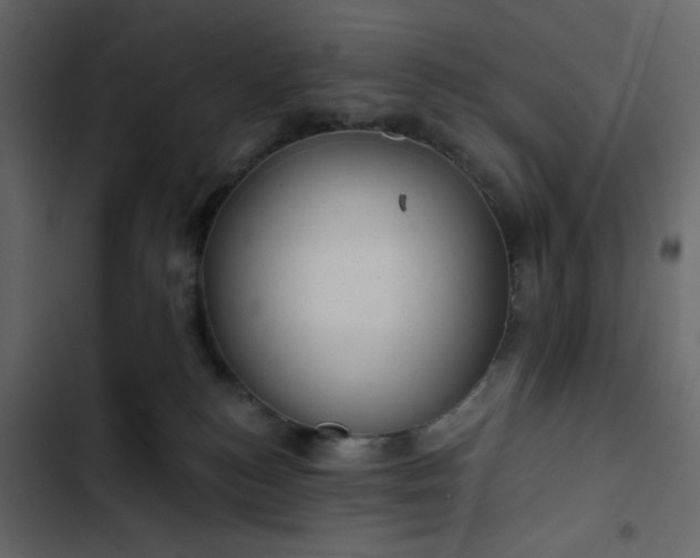 X0000102820184200809021259
