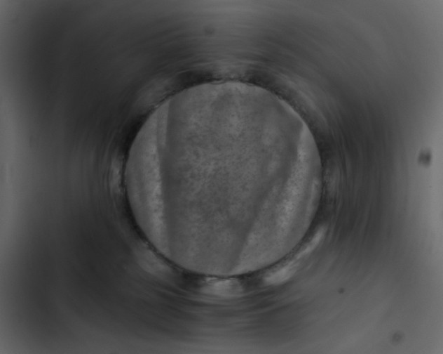 X0000102820185200809021259