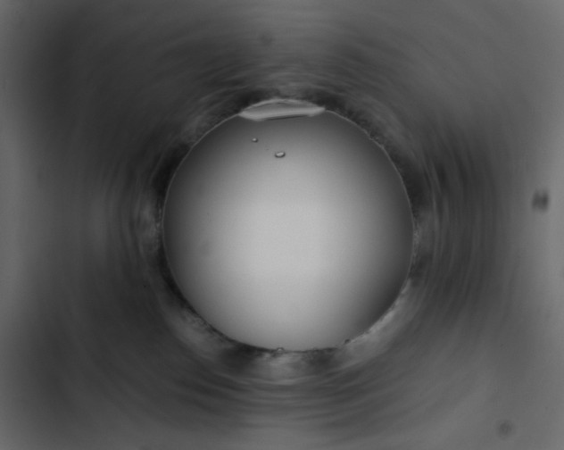 X0000102820186200809021259