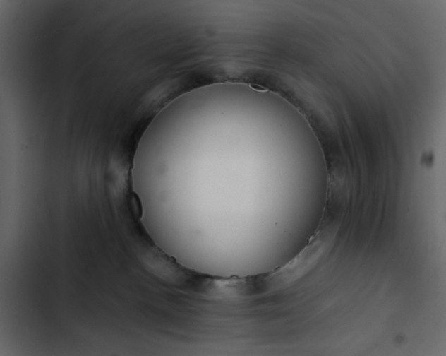 X0000102820188200809021259