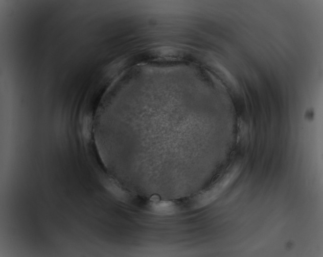 X0000102820189200809021259