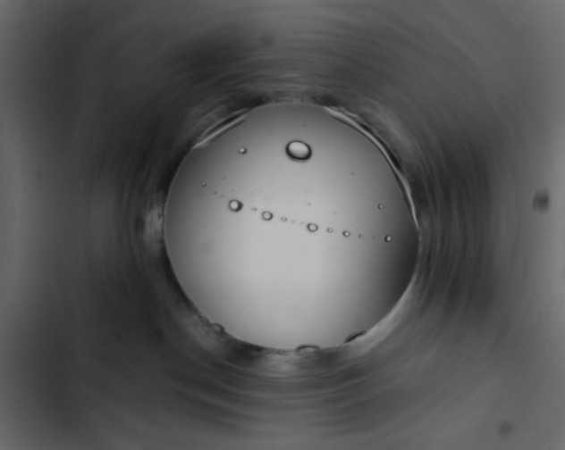 X0000102820190200809021259