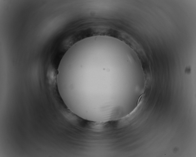 X0000102820191200809021259