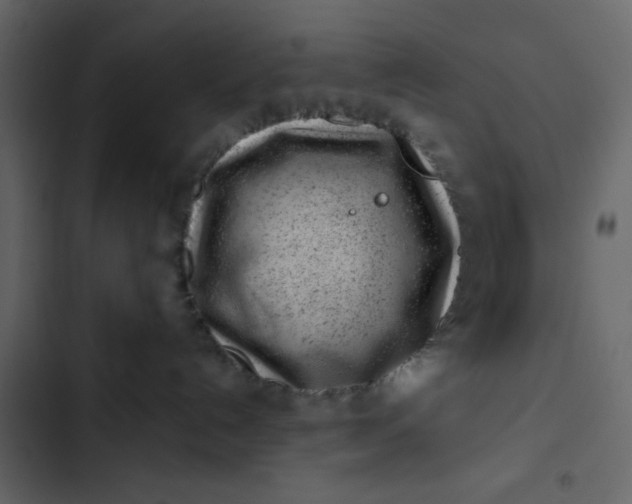 X0000102820192200809021259