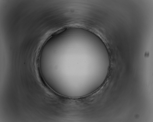 X0000102820193200809021258