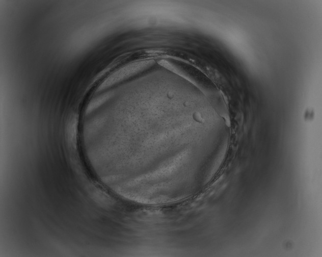 X0000102820194200809021258